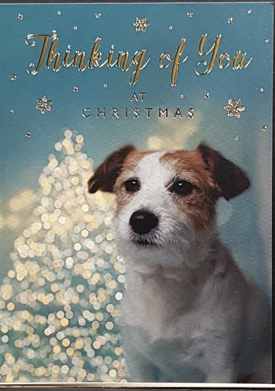 Thinking Of You Christmas Card - Cute Dog And Golden Text