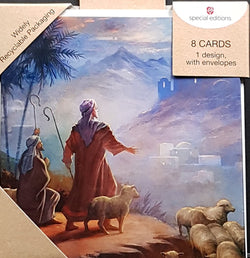 Charity Christmas Card - Pack / Focus Ireland & People & Sheeps Look At The Bethlehem
