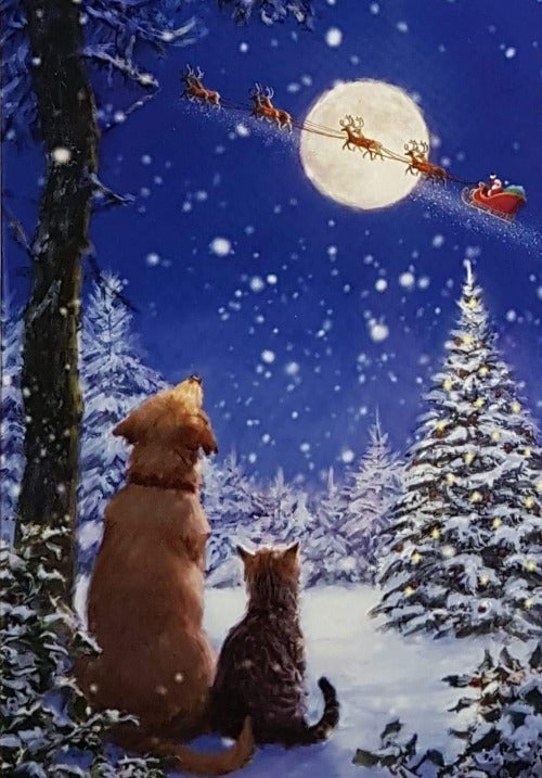 Charity Christmas Card (In Irish & English) - Cello Small / Children's Health Foundation & Dogs Watching Santa