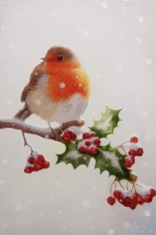 Charity Christmas Card (In Irish & English) - Cello / Children's Health Foundation & Robin Sitting On The Snowed Branch