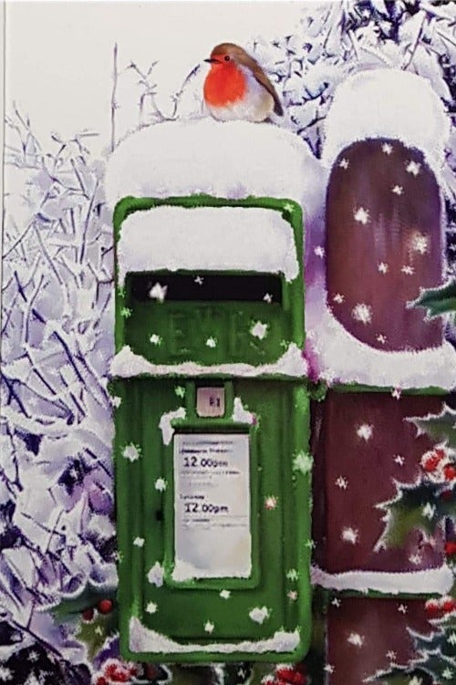 Charity Christmas Card (In Irish & English) - Cello Small / Children's Health Foundation & Robin On The Postbox