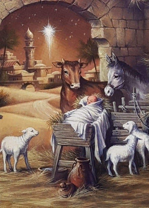 Charity Christmas Card (In Irish & English) - Cello / Children's Health Foundation & Baby Jesus And The Animals