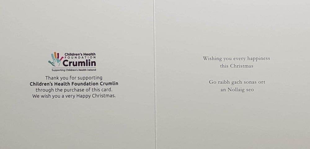 Charity Christmas Card (In Irish & English) - Cello / Children's Health Foundation & Snow And Robin