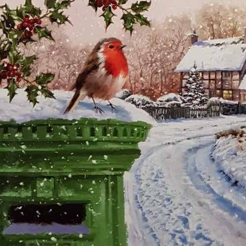 Charity Christmas Card (In Irish & English) - Cello Small / Children's Health Foundation & Robin On The Postbox And Snow