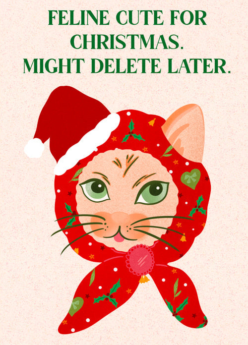 Pet Cat Christmas Card Personalisation