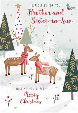 Brother And Sister In Law Christmas Card
