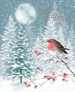 Season's Greetings Christmas Card