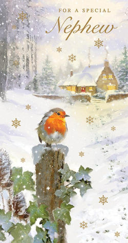 Nephew Christmas Card 