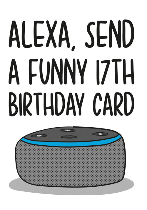 Humour 17th Birthday Card Personalisation