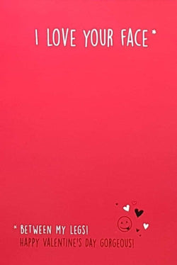 Humour Valentines Day Card