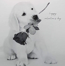 General Valentines Day Card