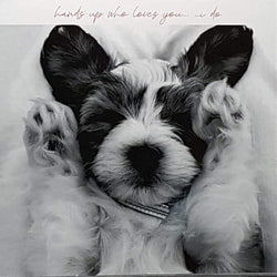 General Valentines Day Card