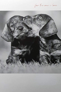 One I Love Valentines Day Card