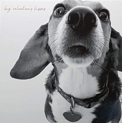 General Valentines Day Card