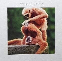 General Valentines Day Card