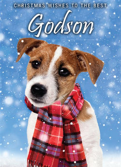 Godson Christmas Card