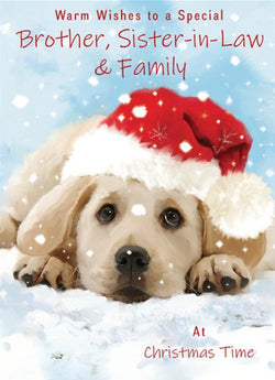 Brother And Sister In Law Christmas Card
