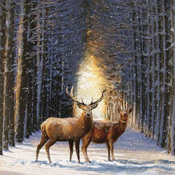 Blank Christmas Card - Woodland Avenue