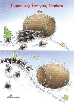 Nephew Christmas Card - Especially For You