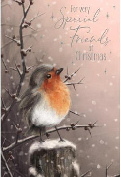 Special Friends Christmas Card