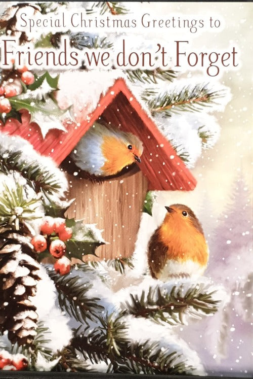 Friends Christmas Card - Friends we may not seen often / Birdhouse and two Birds
