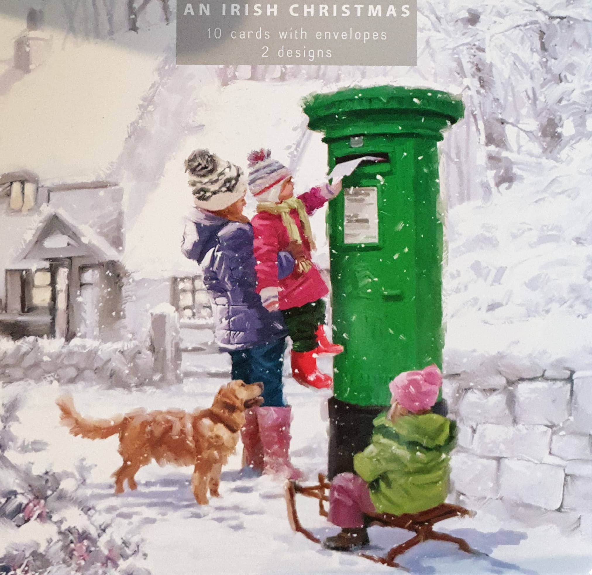 Charity Christmas Cards - 10 Cards with Envelopes / 2 Designs - An Irish Christmas