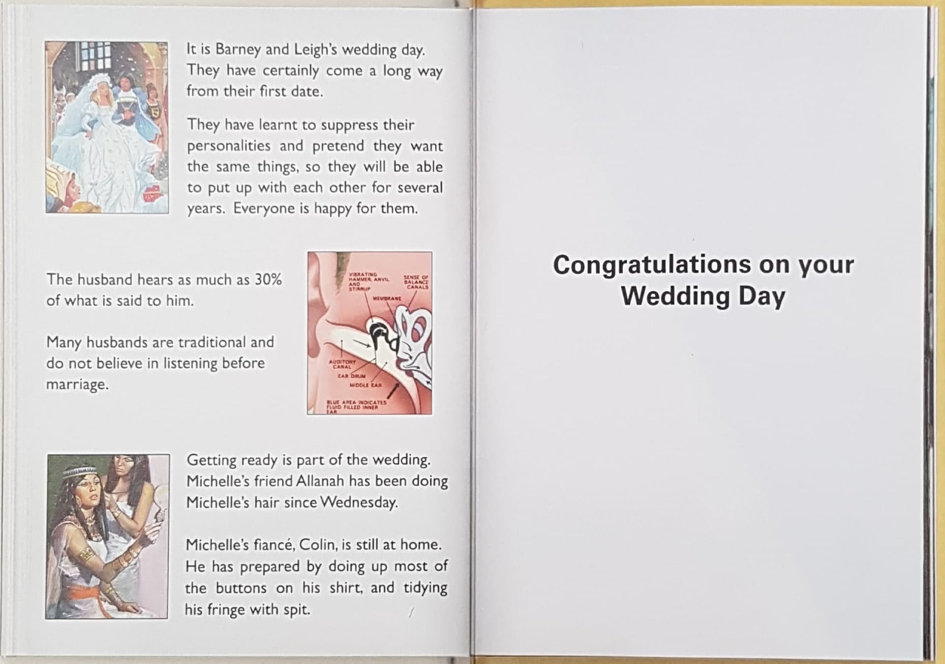 Wedding Card - General / A Ladybird Guide To Marital Bliss (Humour)