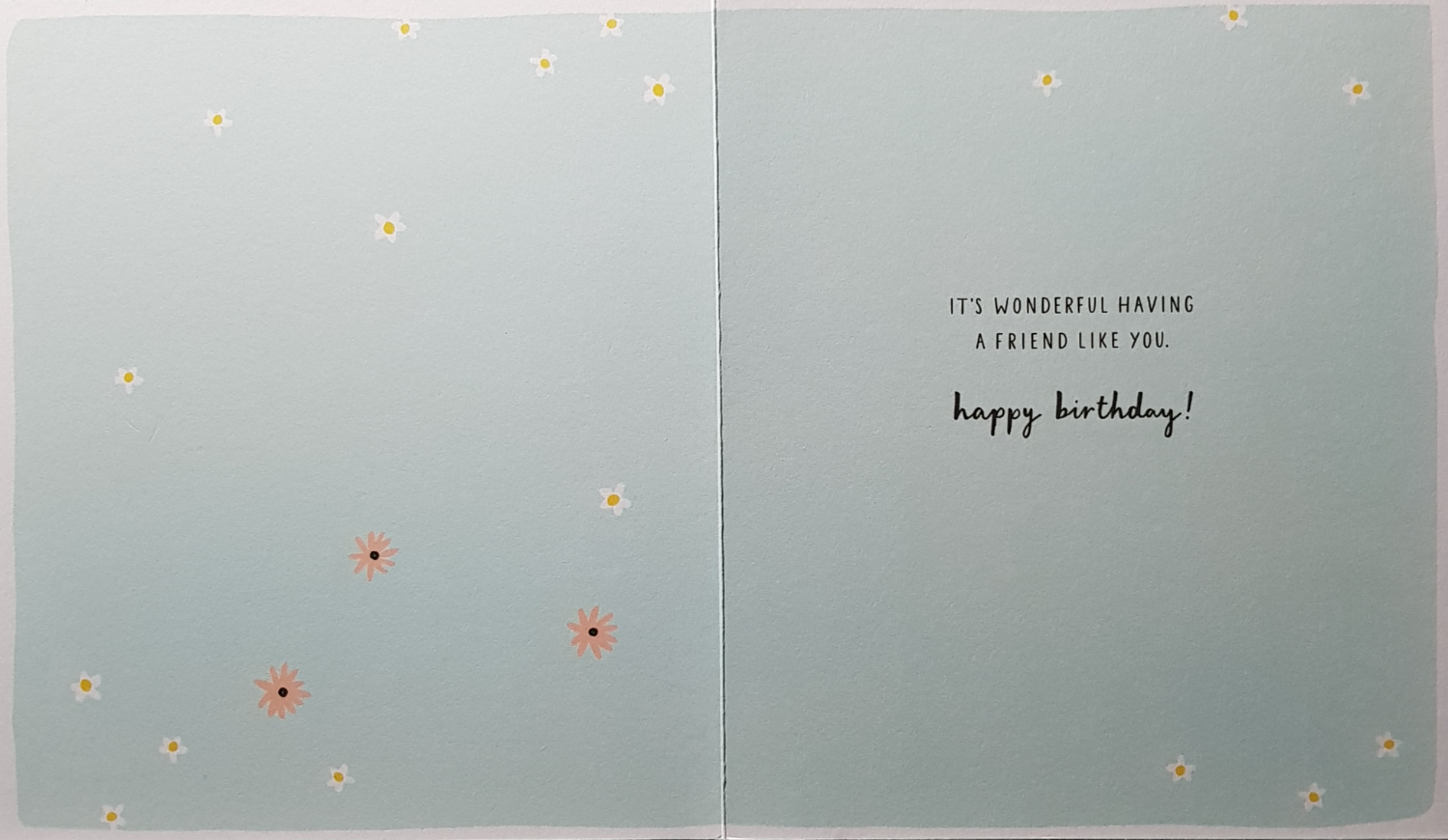 Birthday Card - Friend / Lovely Flowers On A Light Blue Front