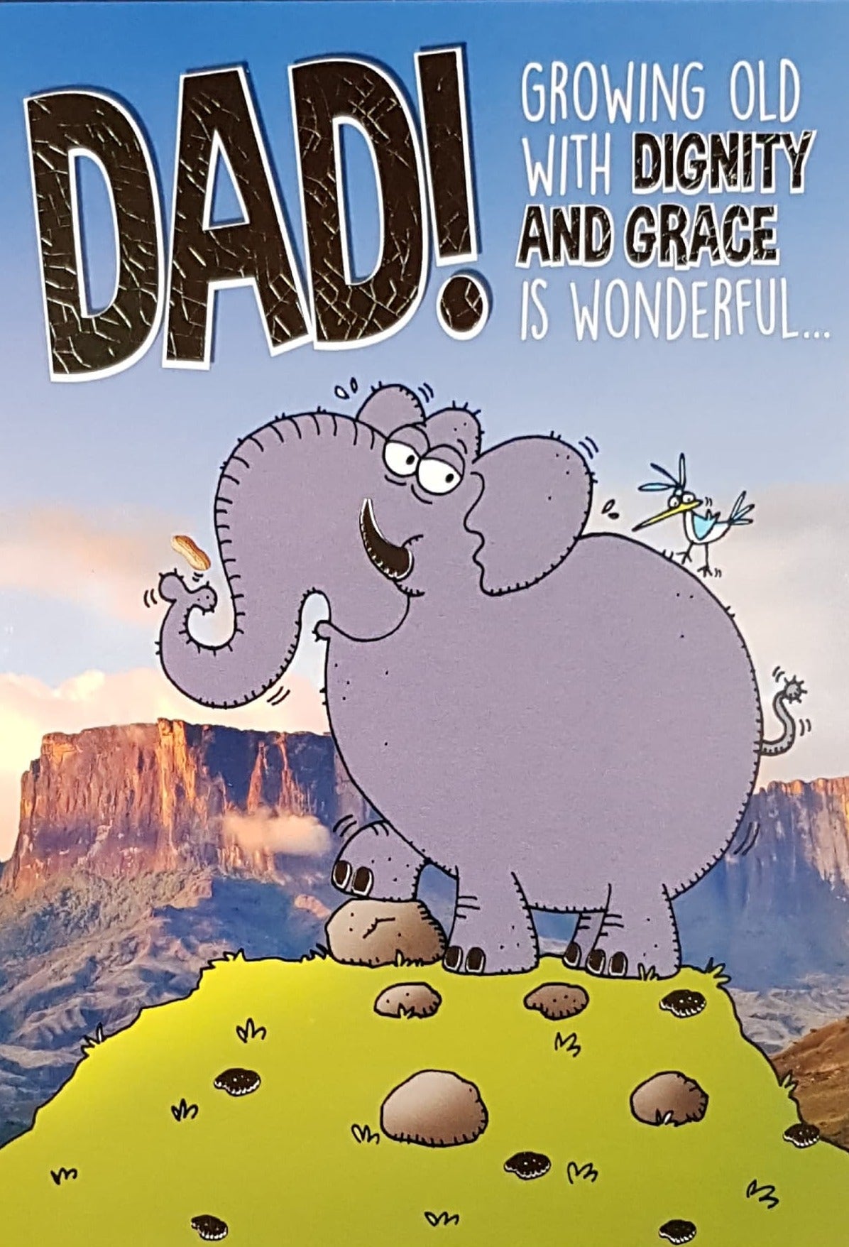 Birthday Card - Dad / A Funny Elephant On A Green Hill