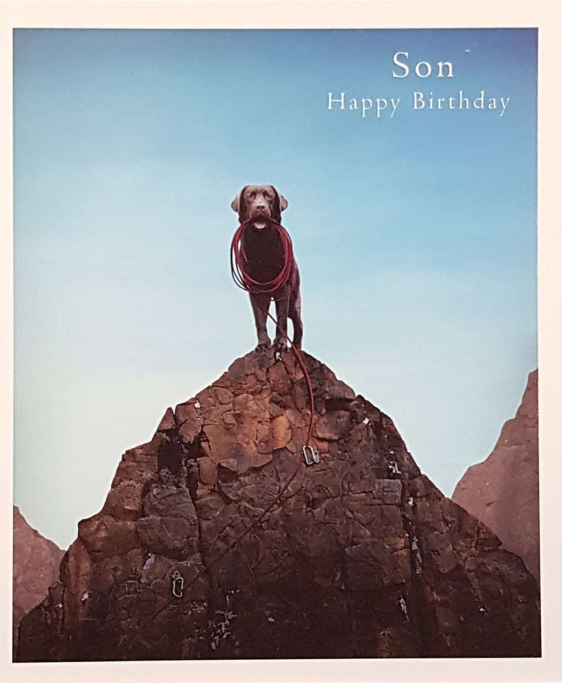 Birthday Card - Son / A Brown Dog On A Hill