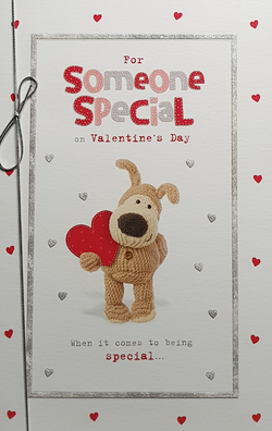 Someone Special Valentines Day Card
