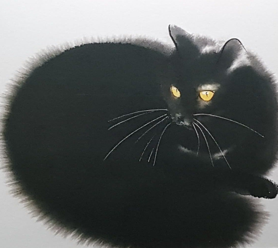 Blank Card - A Black Cat With Yellow Eyes