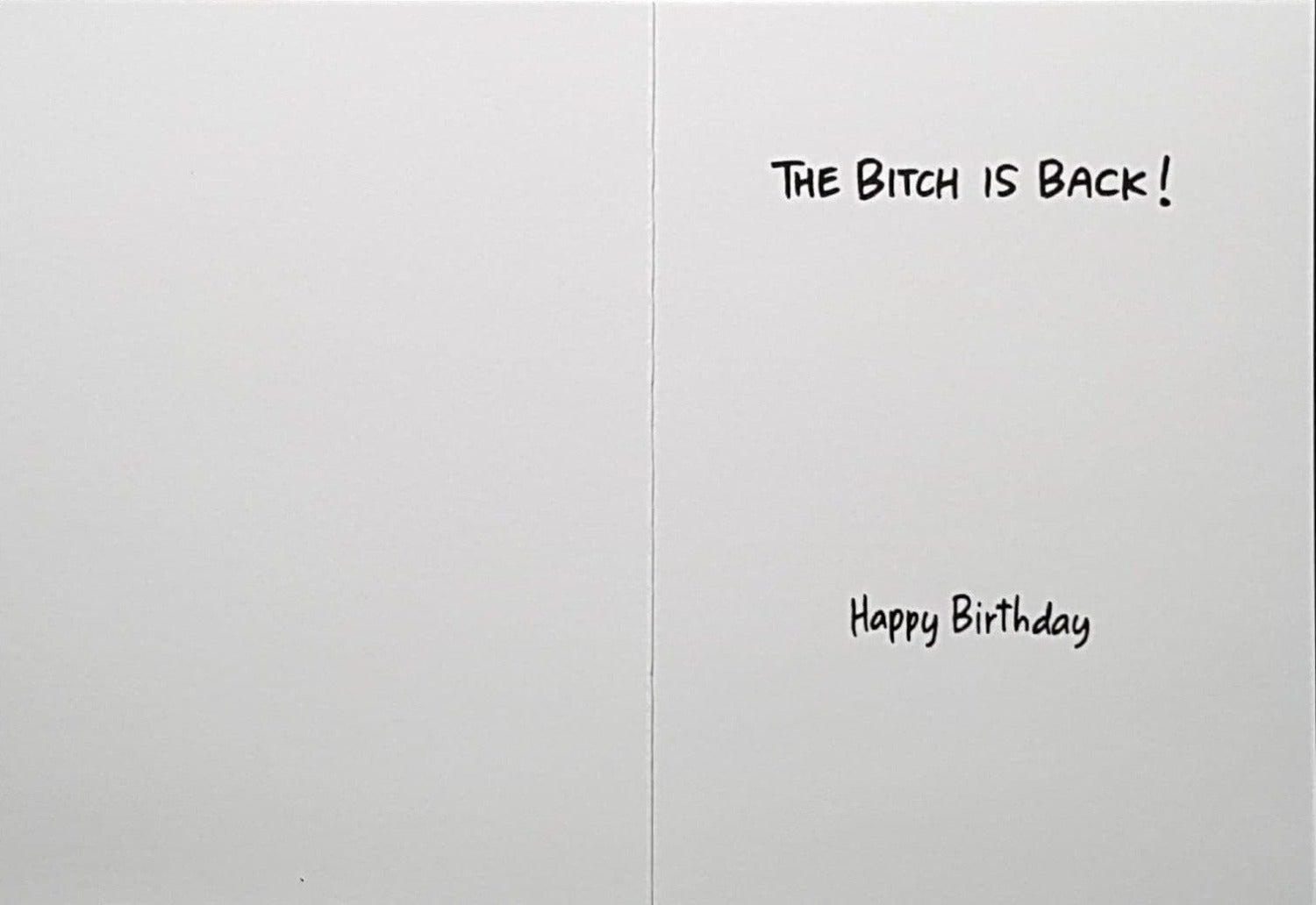 Birthday Card - Humour / A Funny Birthday Fairy