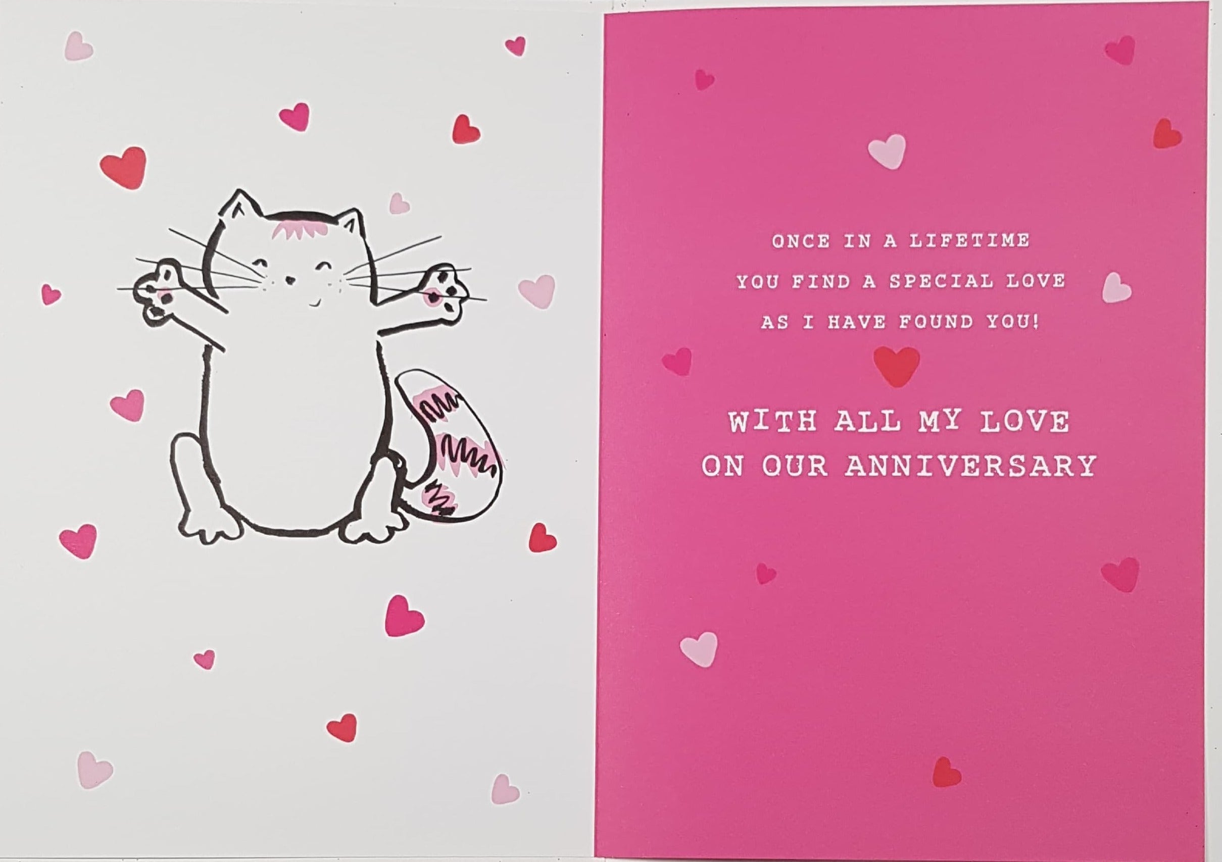 Anniversary Card - Wife / A Cat With Open Arms