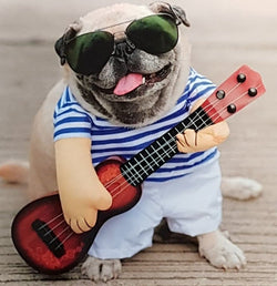 Blank Card - A Bulldog Playing Red Guitar