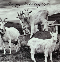 Birthday Card - Happy Birthday Kid