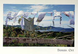 Catherine Dunne Card - Happiness To You