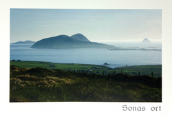 Catherine Dunne Card - Sonas Ort