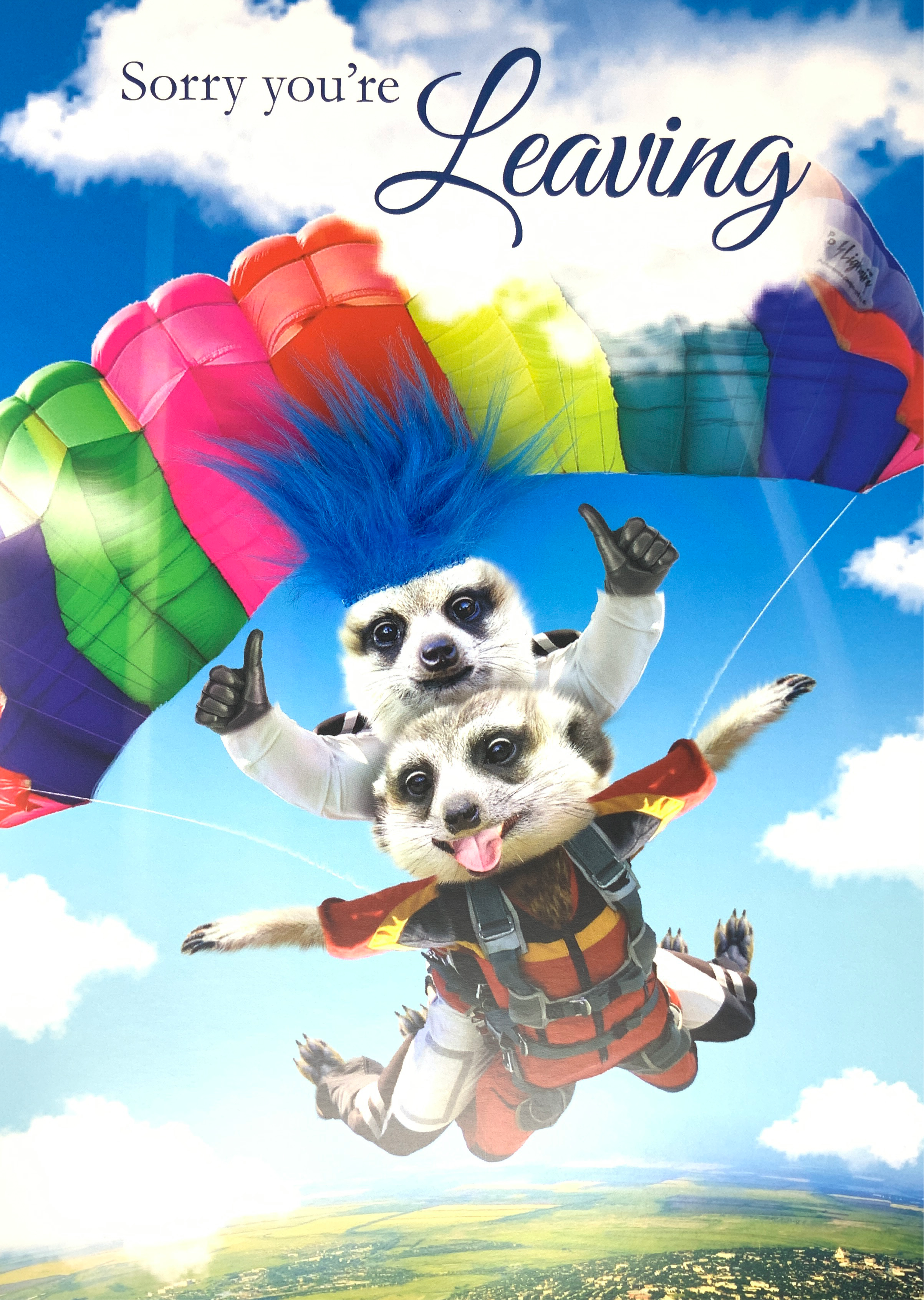 Sorry You’re Leaving Card - Meerkats & A Parachute ( Large - A4 Size )