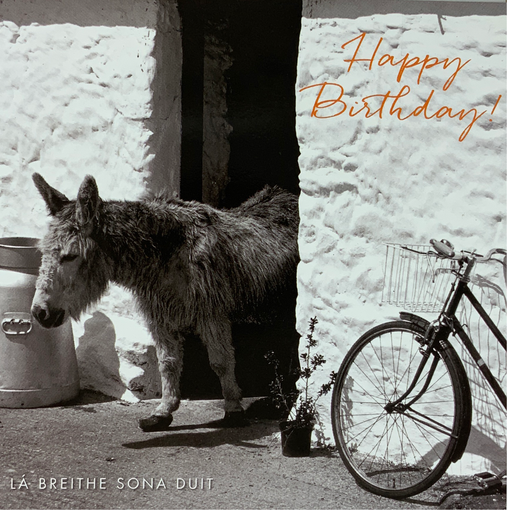 Birthday Card - Monkey & Bike
