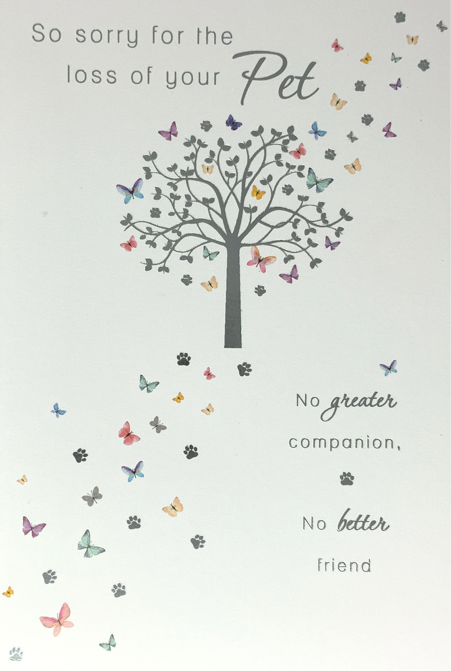 Sympathy Card -Pet / A Tree & No Better Companion