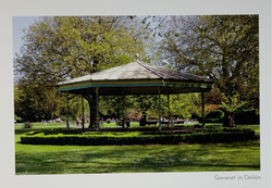 Catherine Dunne Card - St Stephen’s Green, Dublin (Blank)