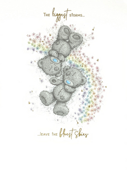 Me To You Card - The Biggest Storms...