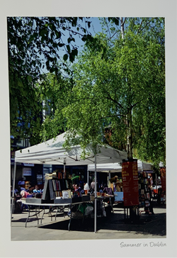 Catherine Dunne Card - Temple Bar, Dublin (Blank)