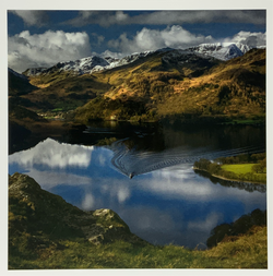 Blank Card - The Raven, England