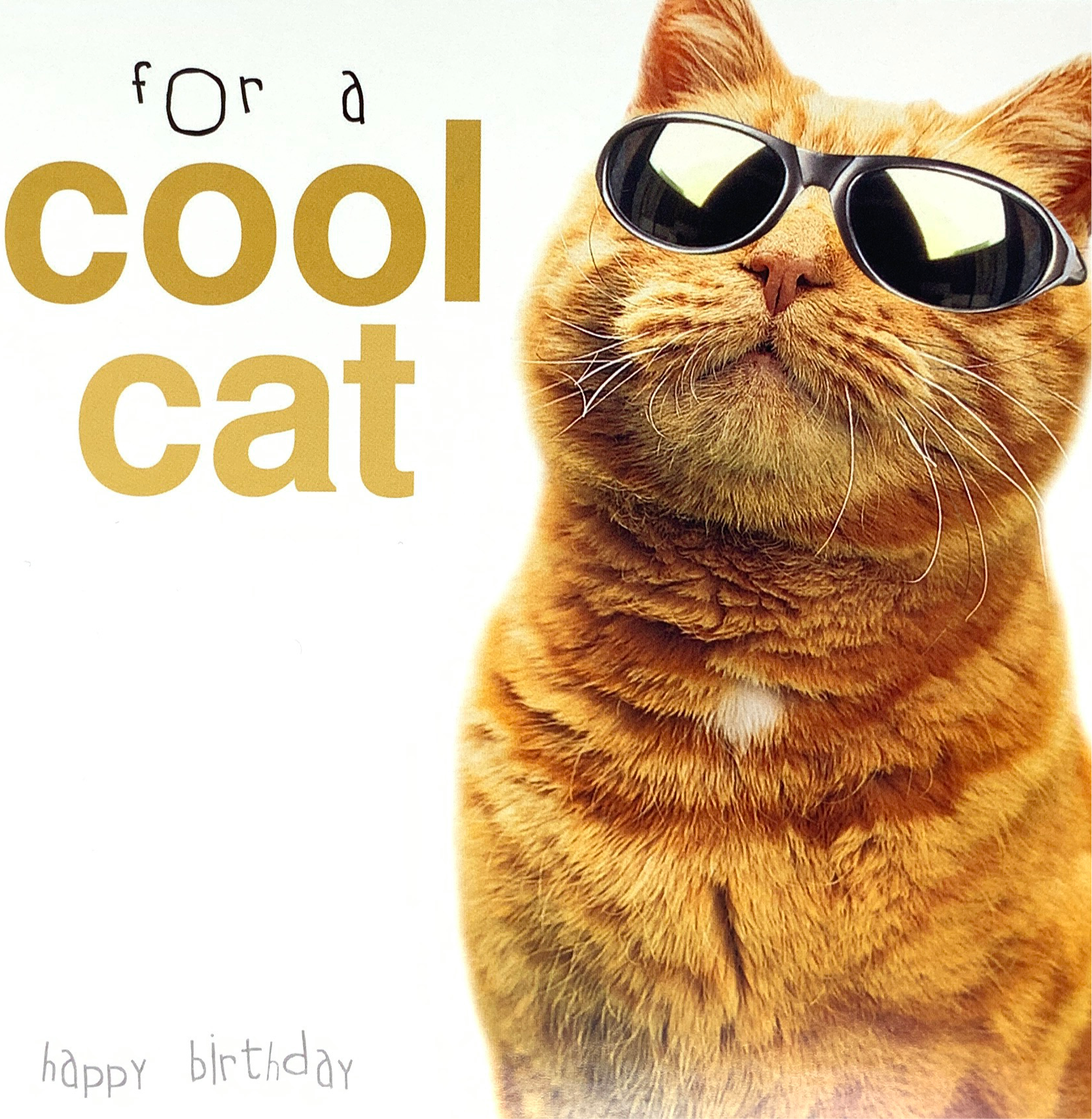 Birthday Card - For A Cool Cat