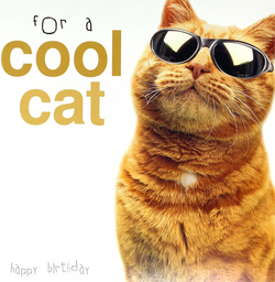 Birthday Card - For A Cool Cat