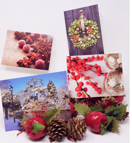Charity Christmas Cards - Box / Focus Ireland & Christmas Motives